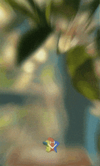 Buenos Dias Flores GIF by Murcianys LLC