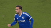 Football Soccer GIF by FC Schalke 04