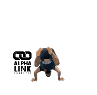 Fitness Workout Sticker by Alpha Link Crossfit
