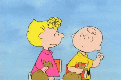 Youre Not Elected Charlie Brown GIF by Peanuts