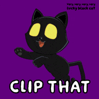 Glow Black Cat GIF by VeeFriends