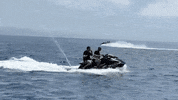Fun Summer GIF by Clarity Experiences