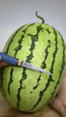 AlertPupper giphyupload satisfying watermelon GIF