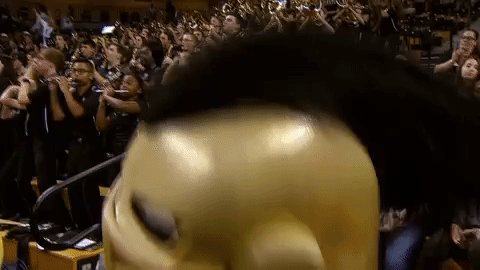 mbb GIF by UCF Knights