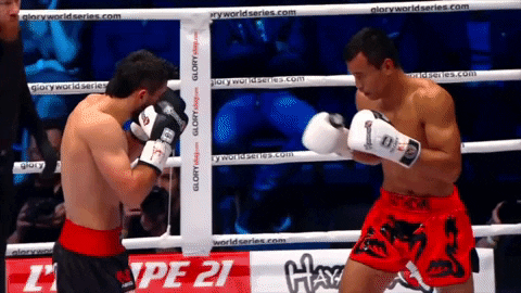 GIF by GLORY Kickboxing