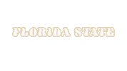 Gold Garnet Sticker by Florida State University