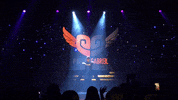 Woo Hoo United GIF by Pieter Gabriel
