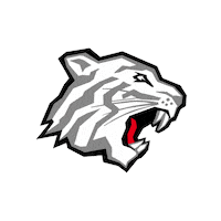 Nuernberg_Ice_Tigers icetigers ice tigers nürnberg ice tigers Sticker