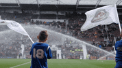heartofmidlothianfc football soccer flag flags GIF