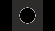 Festival-GmbH white black abstract round GIF