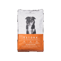 Dog Food Salmon Sticker by KetoNatural Pet Foods