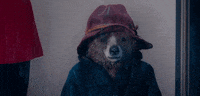 Hungry Rain GIF by Paddington Bear