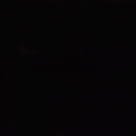 Phantom Siita GIF