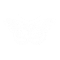 One Direction Butterfly Sticker