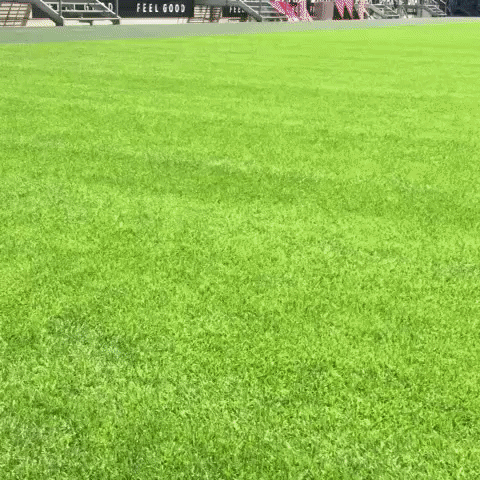 fohlenelf GIF by Borussia Mönchengladbach