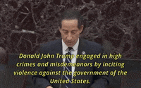 January 6 Impeachment GIF by GIPHY News
