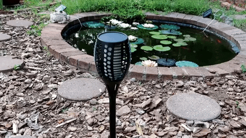 Elitehomeimage giphygifmaker GIF