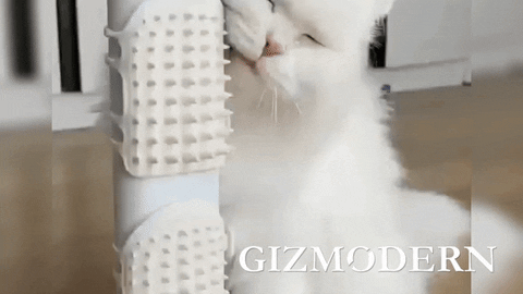 GizModern giphyupload GIF