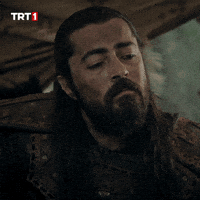 Look Yes GIF by TRT