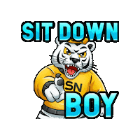 QSNgg gaming tiger sit down qsn Sticker