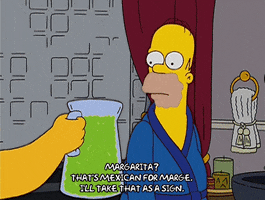 homer simpson GIF