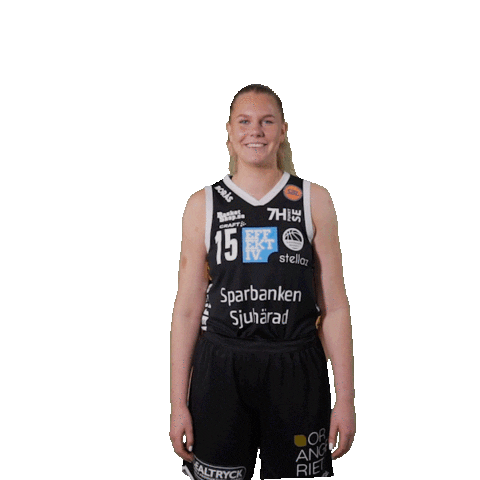 Basketball Sticker by Borås Basket