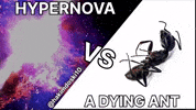 Hydrogen Bomb Ant GIF