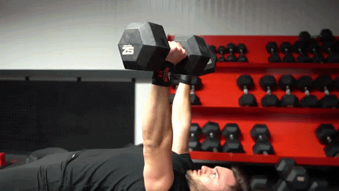 armageddonsports giphygifmaker GIF