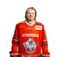 Goal Win Sticker by Eisbären Regensburg