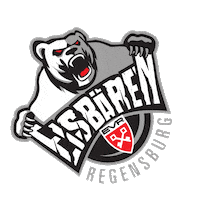 regensburg eisbr Sticker by eisbaeren-regensburg