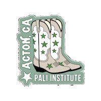 Education California Sticker by Pali Institute