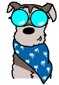 Fashion Summer Sticker