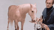 music video band GIF by Domino Recording Co.