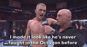 I Made It Look Like He's Never Fought