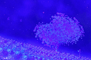Animation Loop GIF