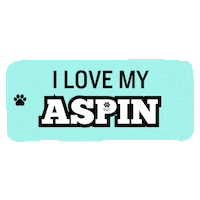 Cat Love Sticker by Pawssion Project Foundation Inc.