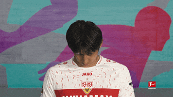 Vfb Stuttgart Football GIF by Bundesliga