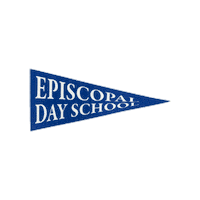 EDSAugusta flag pennant eds augusta Sticker