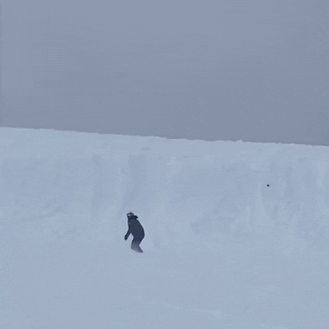 Snow Fail GIF