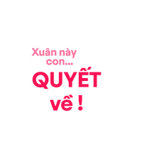 beautiquevn happy new year lunar new year beau beautique Sticker