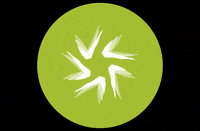 Usj GIF by Universidad San Jorge