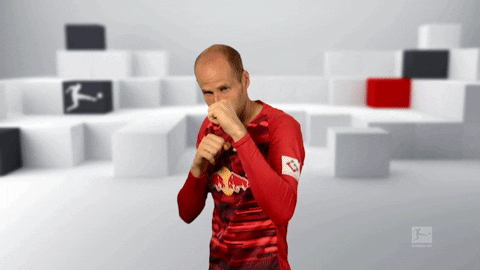 Red Bulls Fighting GIF by Bundesliga