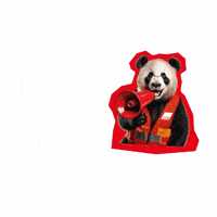 Panda Bear GIF by Deutscher Gewerkschaftsbund (DGB)
