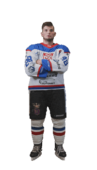 Hockey Player Goal Sticker by STS Sanok
