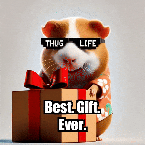Happy Dog GIF by Guinea Gambino
