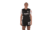 Celebration Link Below Sticker by Eintracht Frankfurt