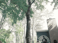 Music Video Money GIF by SLANG