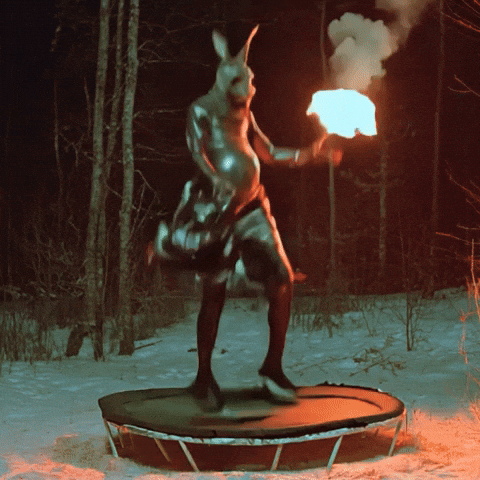 Rabbit Forest GIF