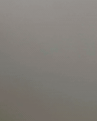 Laugh Laughing GIF