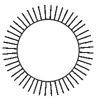 urbanroots_ch sun sunshine urbanroots Sticker